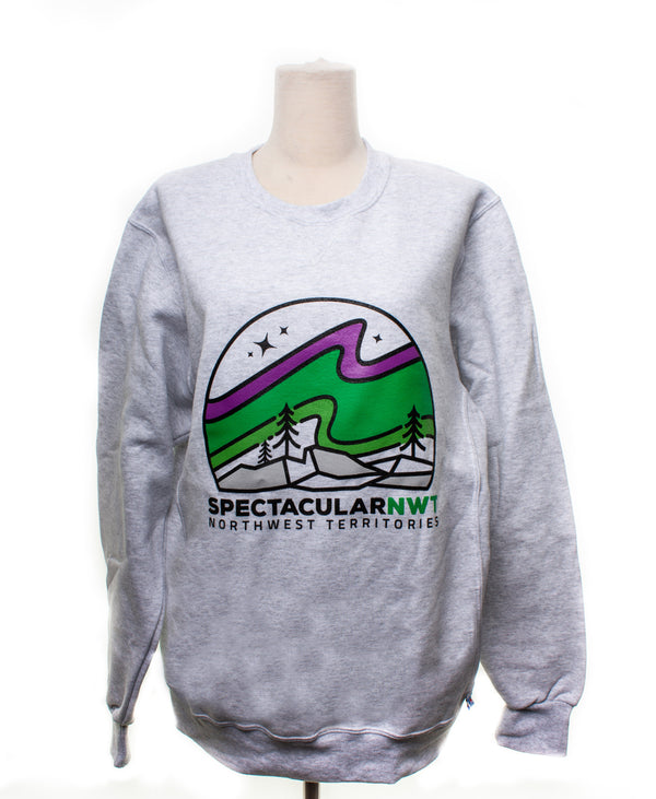 Spectacular NWT Sweater Light Grey